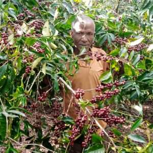 Ethiopia Mengeche Derso
