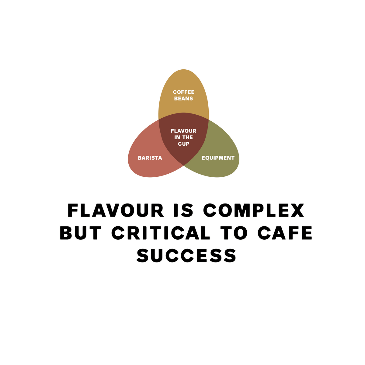 Flavour Science OUR IN-DEPTH GUIDE TO THE SCIENCE OF FLAVOUR IN THE CUP – Zest ...