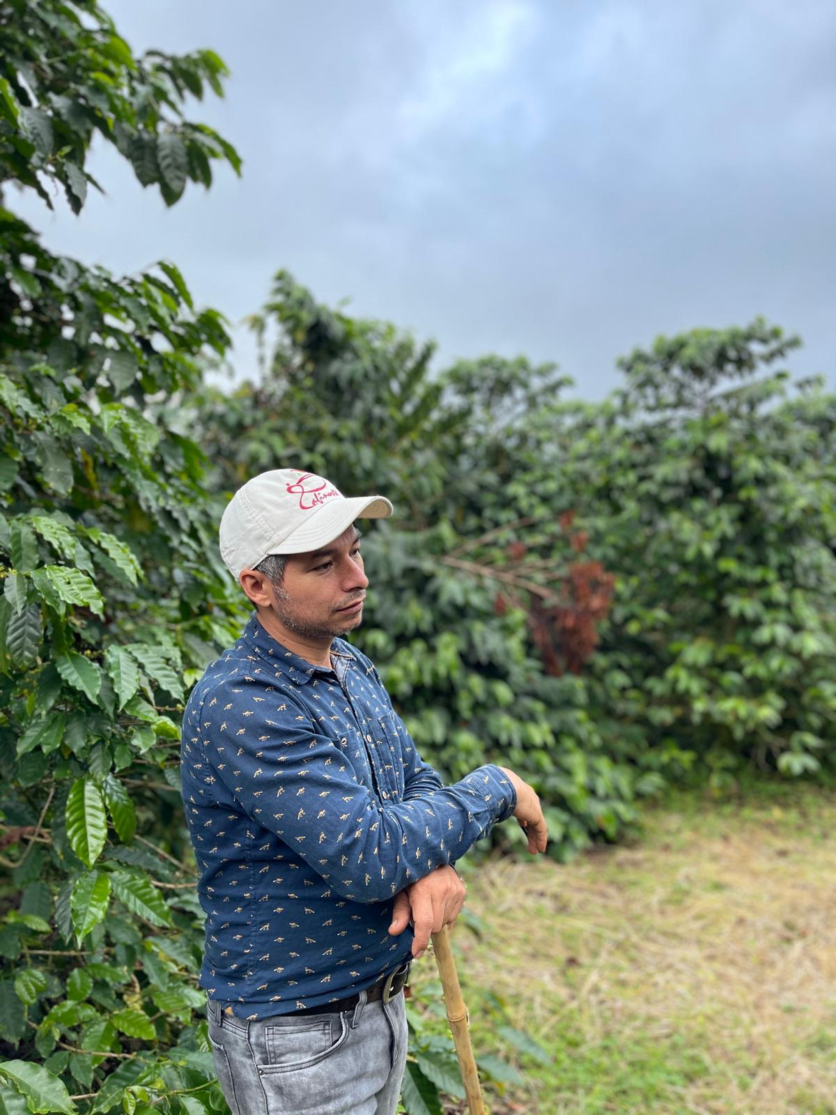 MOKKA - A ARE AND EXOTIC COFFEE VARIERTAL