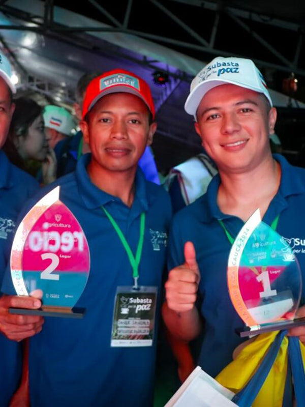 AUCTION FOR PEACE: A HISTORIC MOMENT FOR COLOMBIAN COFFEE AND WHY IT MATTERS