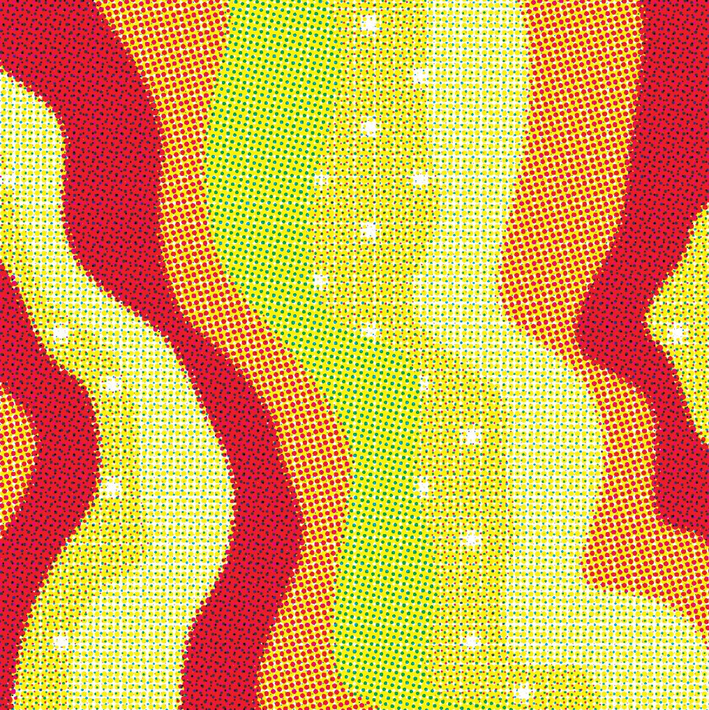 Colombia Shady & Elias Bayter Yirgacheffe