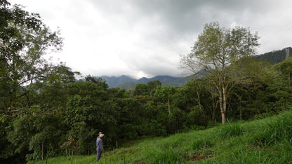 Colombia Alejandra Guerrera Sudan Rume Natural