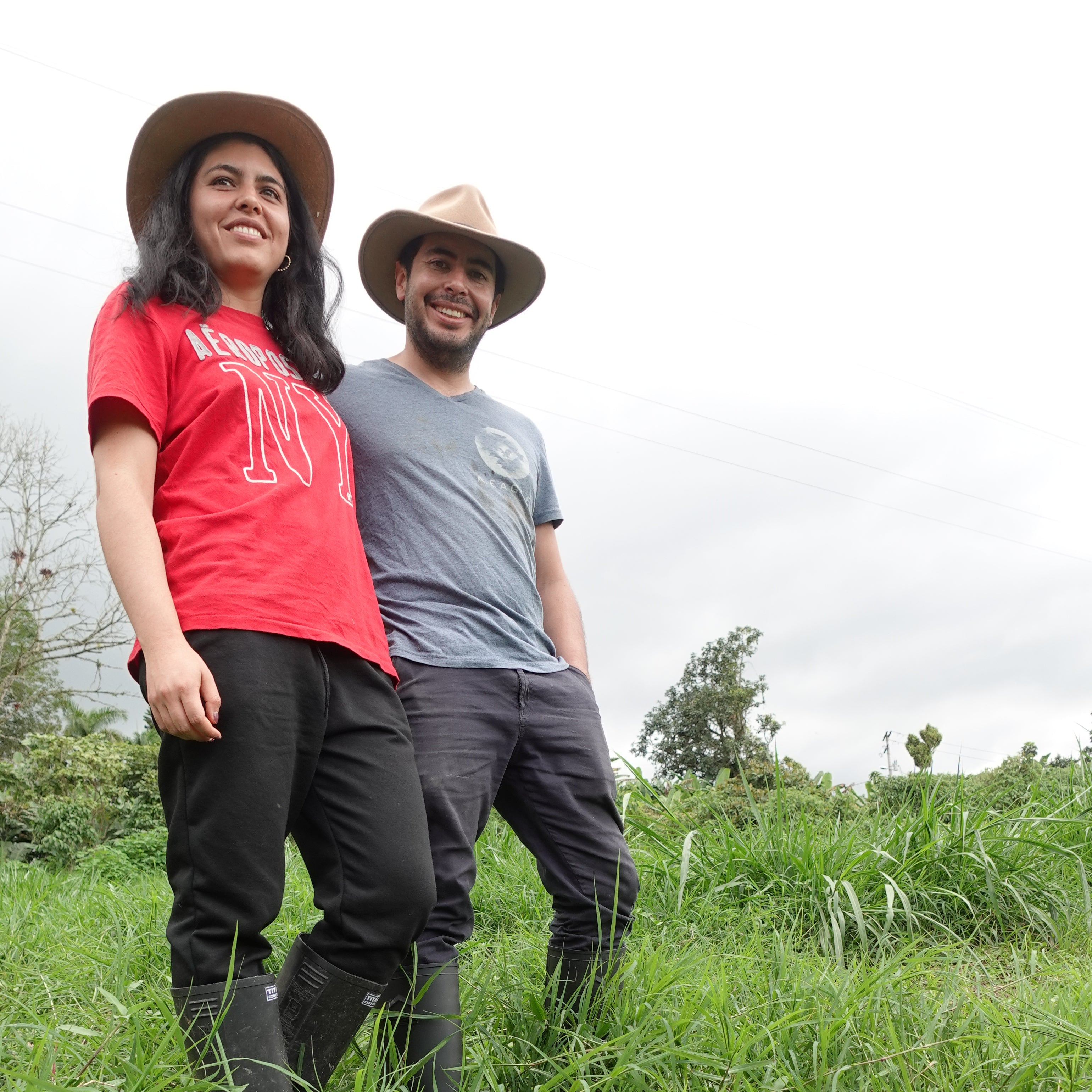 Colombia Alejandra Guerrera Geisha Honey – Zest Specialty Coffee