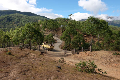 Timor-Leste Laklo