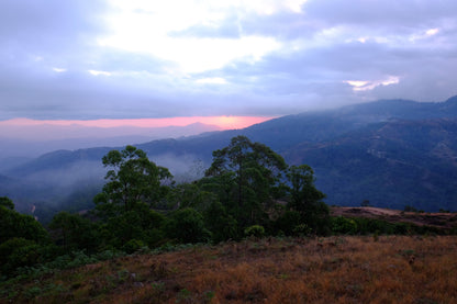 Timor-Leste Laklo