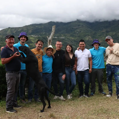 Colombia Huver Castillo Rocket Flower