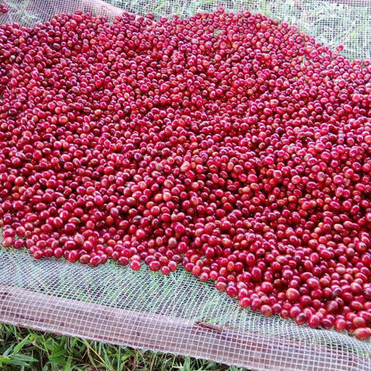 Burundi Gihere Natural