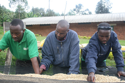 Burundi Yandaro Honey