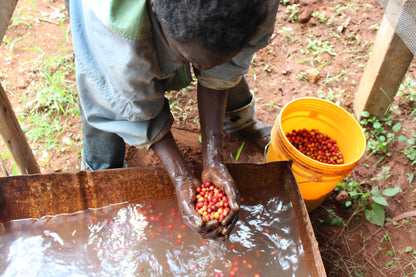 Burundi Yandaro Honey