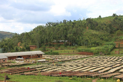 Burundi Yandaro Honey
