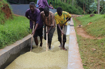 Burundi Yandaro Honey