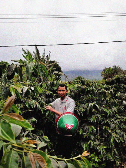 Indonesia Kerinci Anaerobic Honey