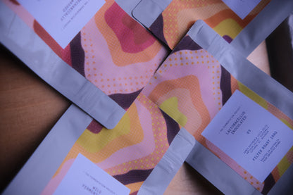 The Fermentation Project - 4 Pack Tasting Set
