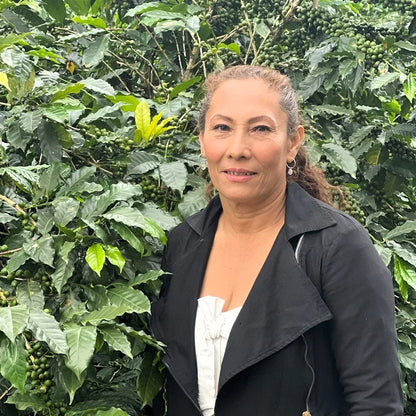 Colombia María Belén Díaz Prink Borbon Creation
