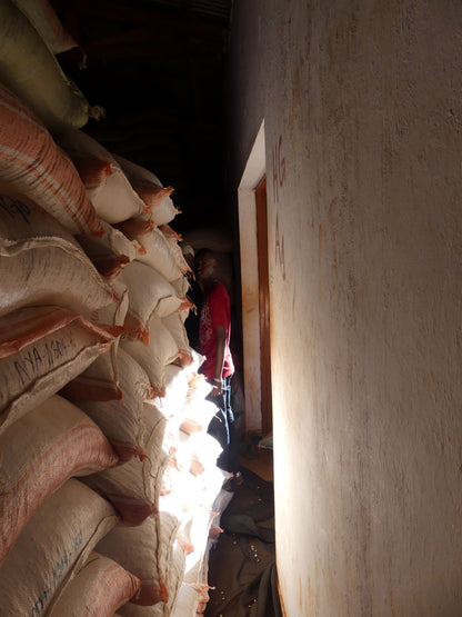 Burundi Ngogomo Washed