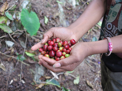 Timor-Leste Laklo