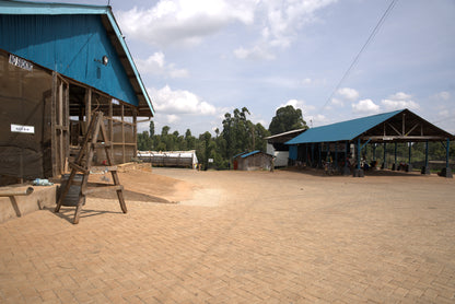 Kenya Karimikui AA